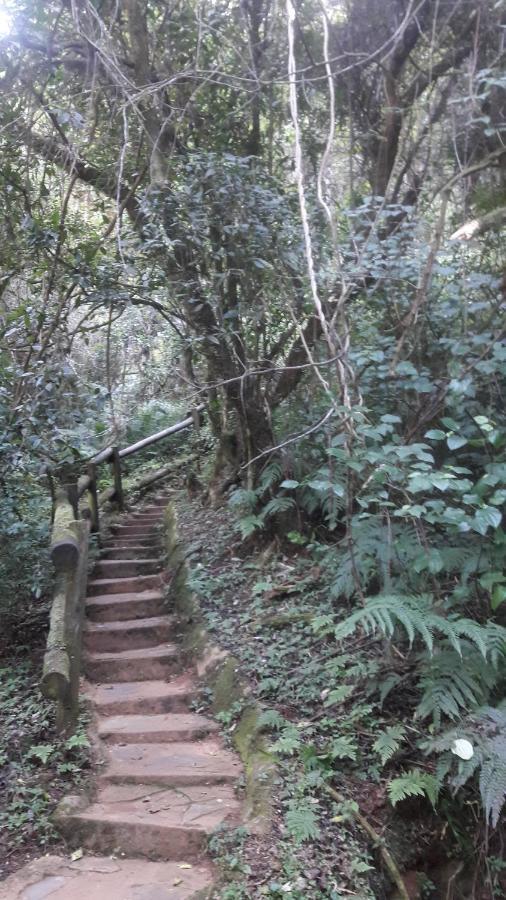 Tehilah Bed & Breakfast Sabie Bagian luar foto